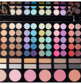 Professional Makeup Kit
