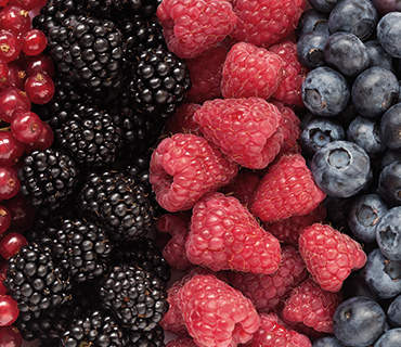 banner-3
