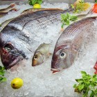 Grilled Salmon Filet