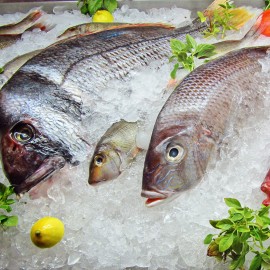 Grilled Salmon Filet
