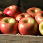 Gala Apples Fresh Produce Fruit