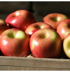 Apples Fresh Produce Fruit