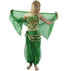 Coins 2-Piece Belly Dance Costume