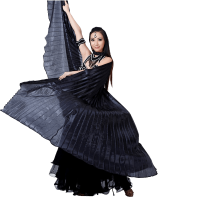 Little chilli 5-Piece Belly Dance Costume