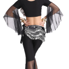Belly Dance Wave Shape Hip Scarf With Silver Coins