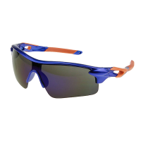 Windproof Sunglasses+Box Polarized Goggles