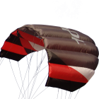 Sting 4 line Power Kite