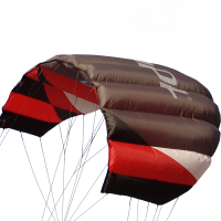 Sting 4 line Power Kite