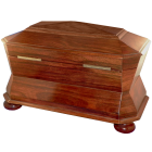 English Casket shaped Tea Caddy