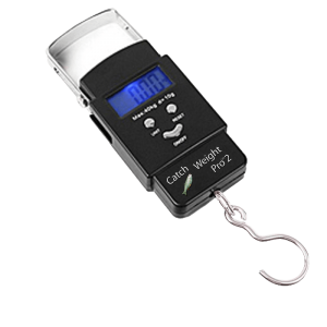 Baitcasting Baitcasting