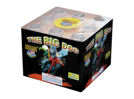 The Big Dog