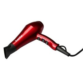 Berta Professional Blow Dryer