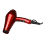 Berta Professional Blow Dryer