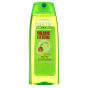 Garnier Fructis