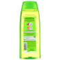 Garnier Fructis