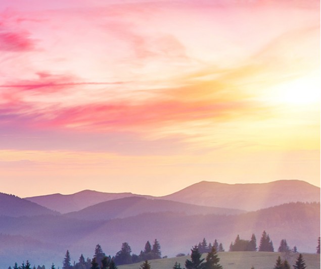 banner-6