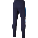 Evostripe Pants