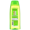 Garnier Fructis