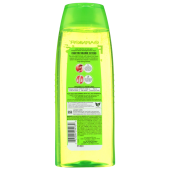 Garnier Fructis