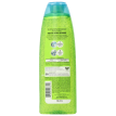 Garnier Fructis