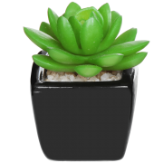 Mini Succulent Artificial Plants