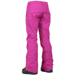 Women's Society Insulated Pants 2017