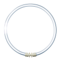 Nice suspension light