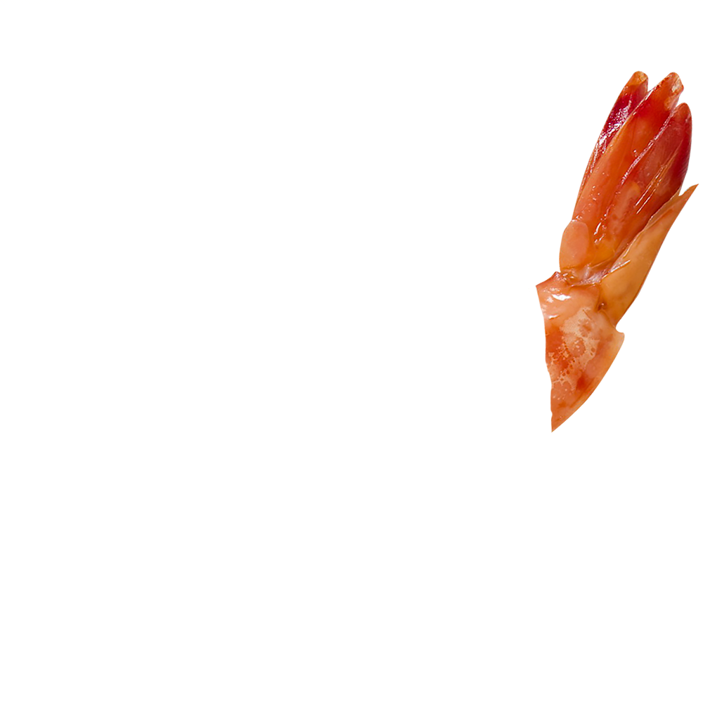 shrimp