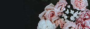 banner-1