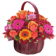 Autumn Basket