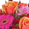 Carnations (4)