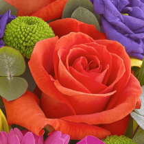 Vibrant Exquisite Arrangement