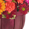 Daisies (4)