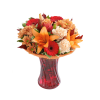 Freesia