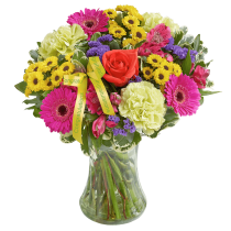 New Baby Vibrant Hand tied or Vase