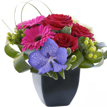 Gerbera and Vanda Orchid 