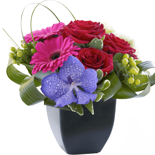 Gerbera and Vanda Orchid 