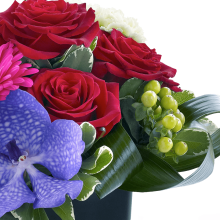 Gerbera and Vanda Orchid 