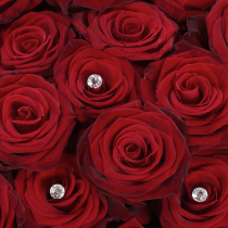 Grand Prix Rose Hand tied