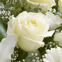 White Radiance Hand-tied