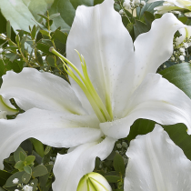 White Radiance Hand-tied