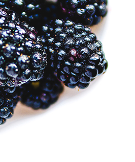 banner-3