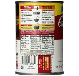 Chicken Noodle Soup