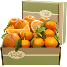 Organic Baby Food