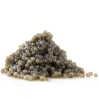 Tsar Nicoulai American Paddlefish Sturgeon Roe