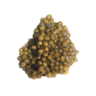 Tsar Nicoulai Golden Reserve Caviar