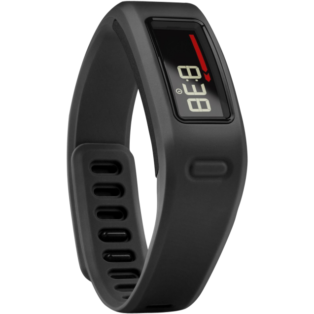Garmin Vivofit Fitness Band