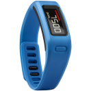 Garmin Vivofit Fitness Band
