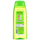 Garnier Fructis