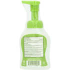 Babyganics Alcohol-free Foaming Hand Sanitizer Bundle